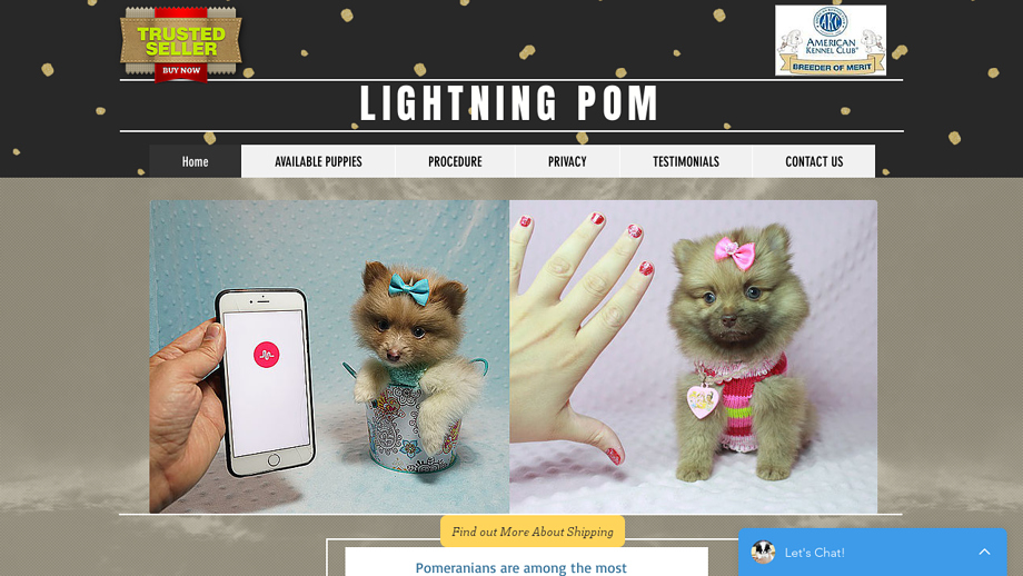 Lighthousepoms.us - Pomeranian Puppy Scam Review