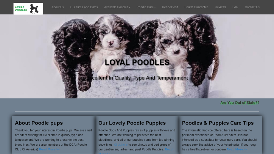 Loyalpoodle.com - Poodle Puppy Scam Review