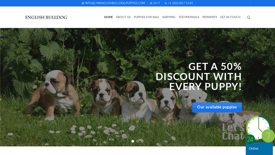 Lynenglishbulldogpuppies.com - English Bulldog Puppy Scam Review