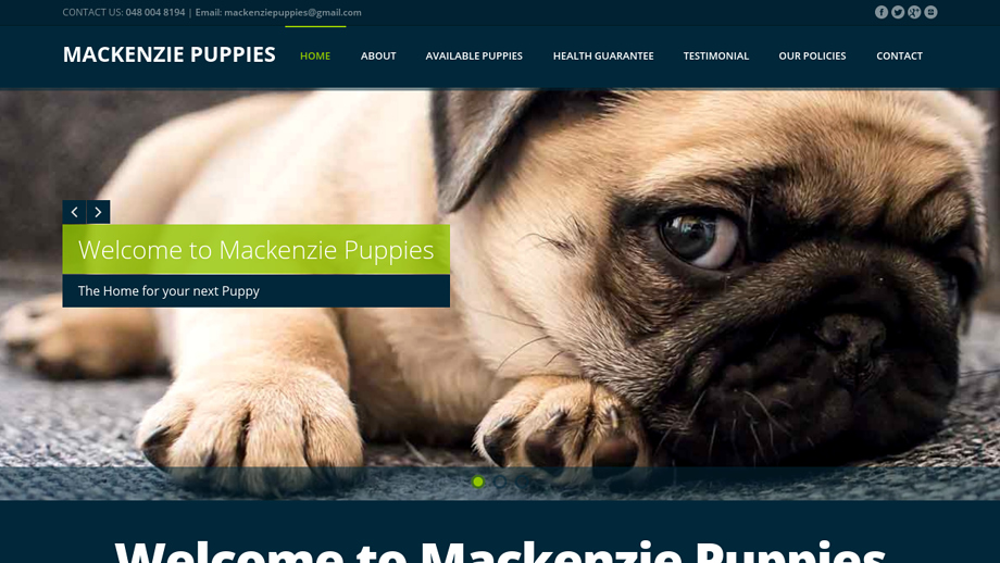 Mackenziepuppies.com - Pug Puppy Scam Review