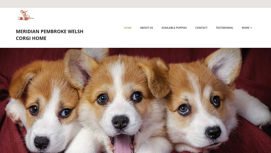 Meridianwelshcorgihome.net - Corgi Puppy Scam Review