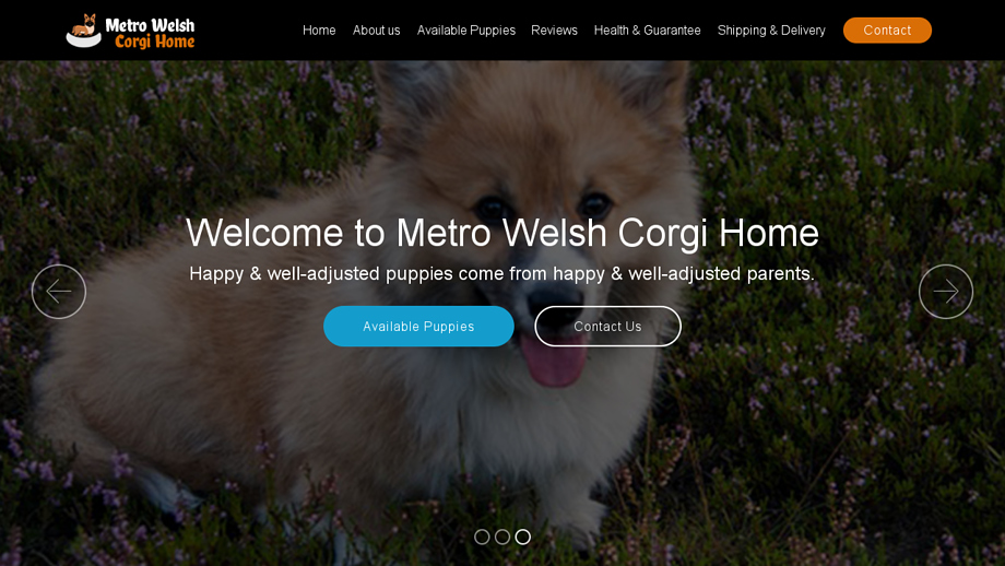 Metrowelshcorgihome.com - Corgi Puppy Scam Review