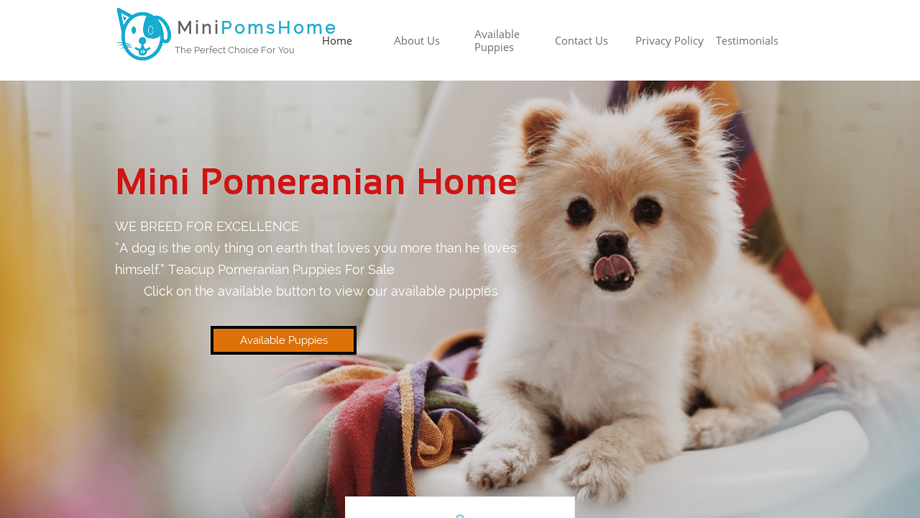 Minipomhome.com - Pomeranian Puppy Scam Review