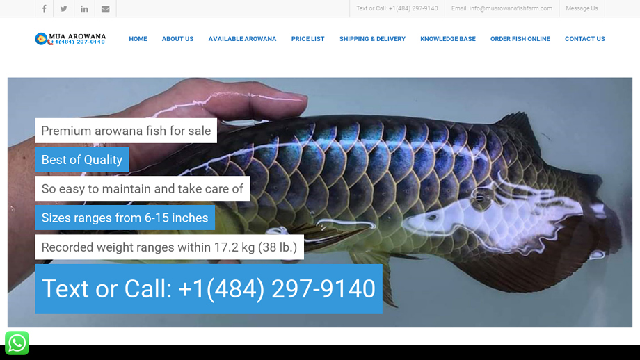 Muaarowanafishfarm.com - Arowana Puppy Scam Review