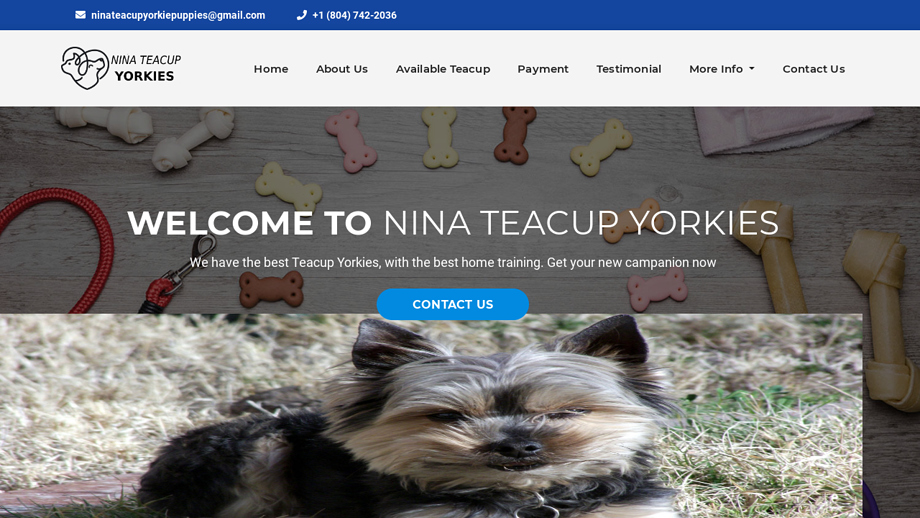 Ninateacupyorkies.com - Yorkshire Terrier Puppy Scam Review