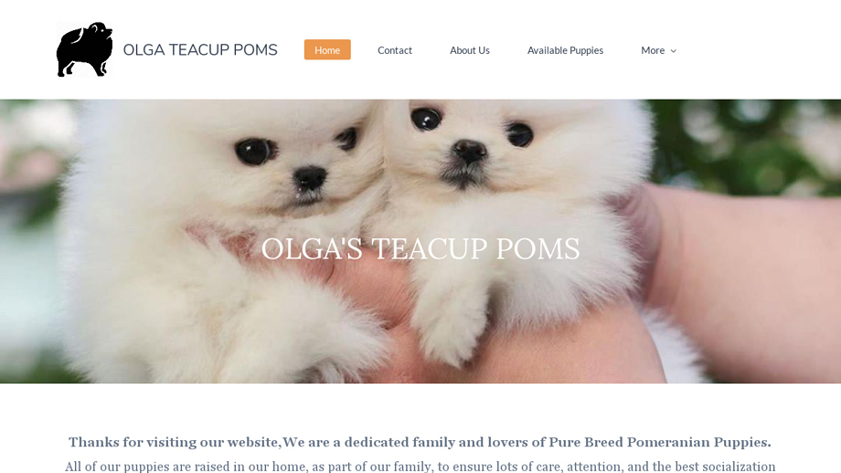 Olgapomshome.com - Pomeranian Puppy Scam Review