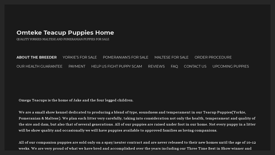 Omteke.com - Maltese Puppy Scam Review