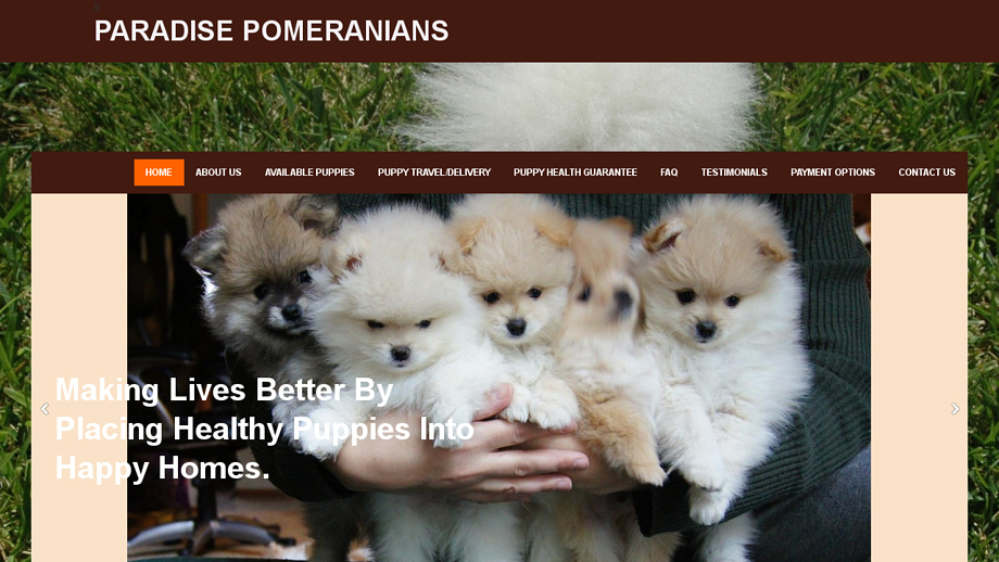 Paradisepomeranians.com - Pomeranian Puppy Scam Review