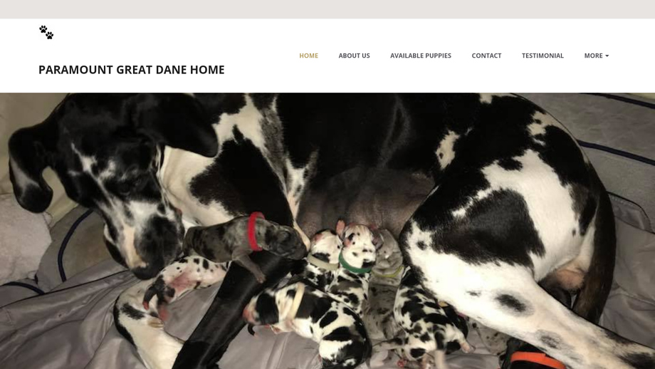 Paramountgreatdanehome.net - Great Dane Puppy Scam Review