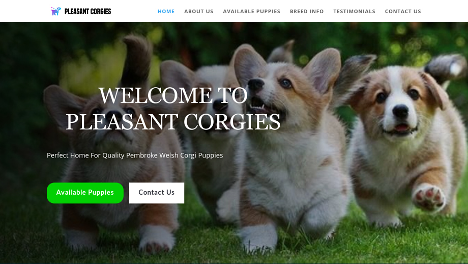 Pleasantcorgies.com - Corgi Puppy Scam Review