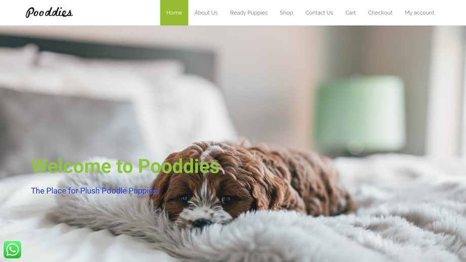 Pooddies.com - Poodle Puppy Scam Review