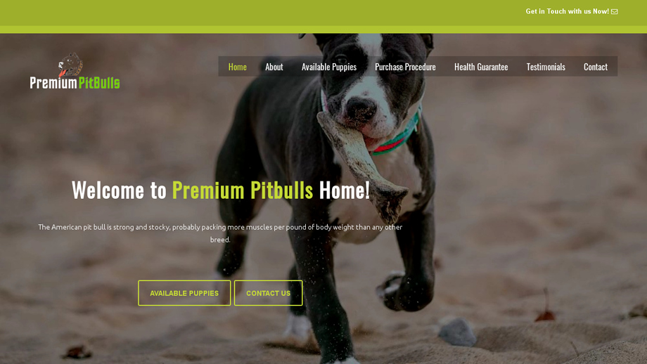 Premiumpitbullshome.com - Pit Bull Puppy Scam Review