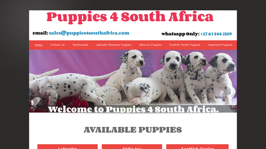 Puppies4southafrica.com - French Bulldog Puppy Scam Review