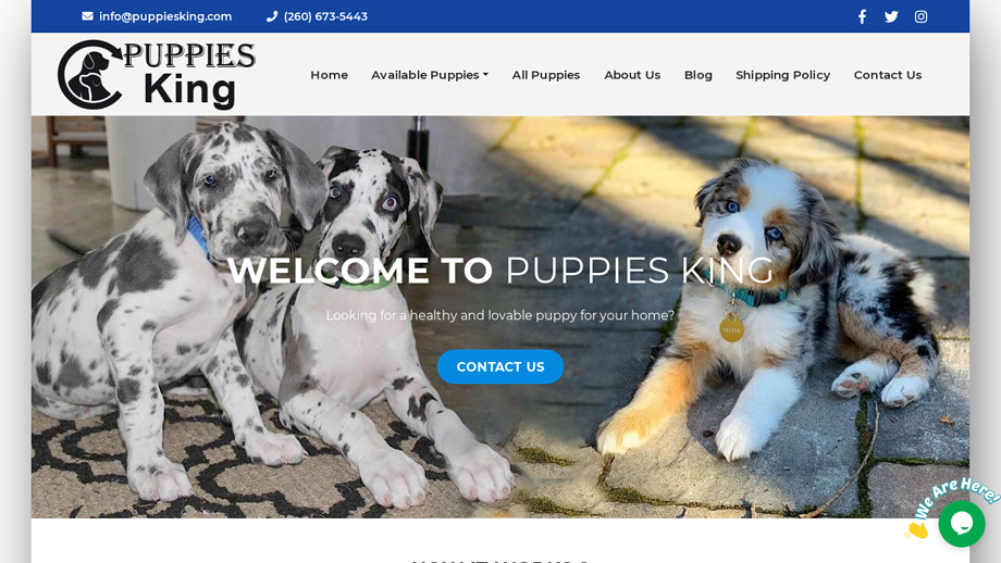 Puppiesking.com - Great Dane Puppy Scam Review