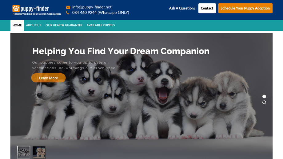 Puppy-finder.net - Husky Puppy Scam Review