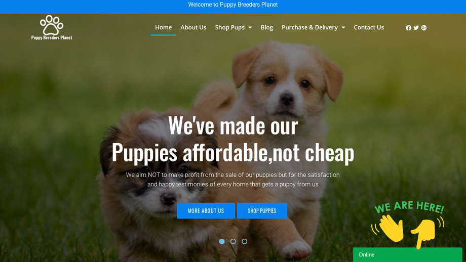 Puppybreedersplanet.dog - Cavalier King Charles Spaniel Puppy Scam Review