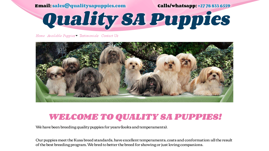 Qualitysapuppies.com - Chihuahua Puppy Scam Review