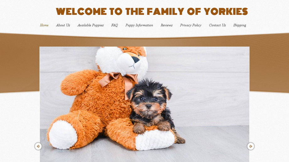 Rbtrueloveyorkies.com - Yorkshire Terrier Puppy Scam Review