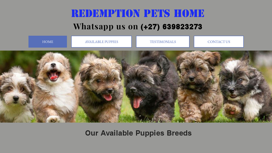 Redemptionpetshome.net - Poodle Puppy Scam Review