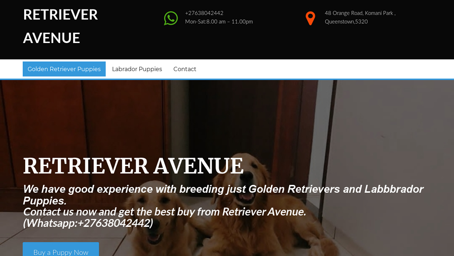 Retrieveravenue.com - Golden Retriever Puppy Scam Review