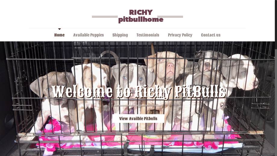 Richypitbullhome.com - Pit Bull Puppy Scam Review