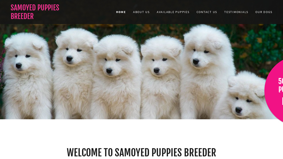 Sanitybabies.com - Samoyed Puppy Scam Review