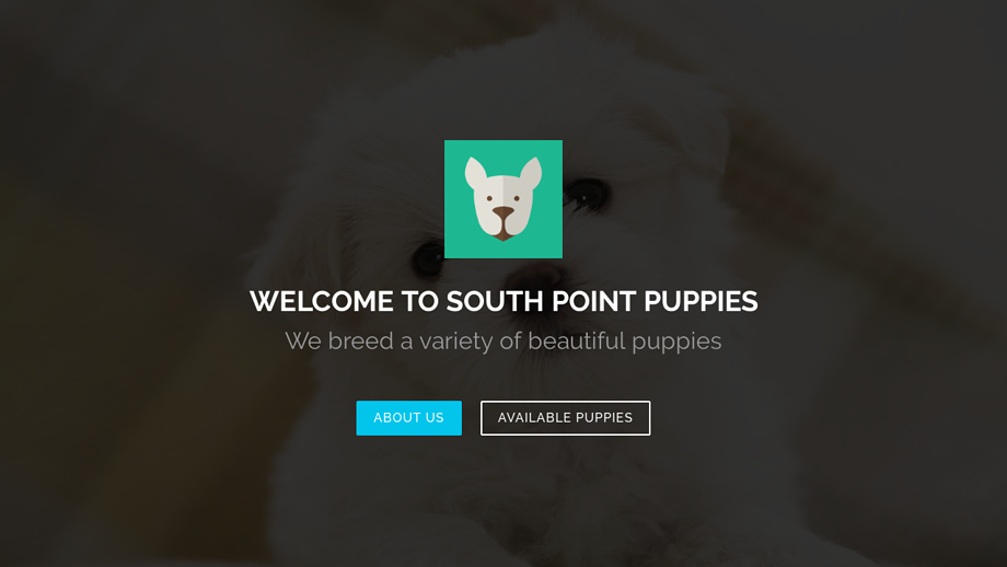 Southpointpuppies.com - Maltese Puppy Scam Review