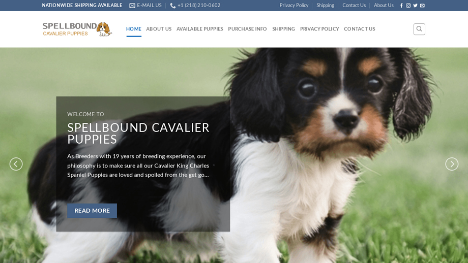 Spellboundcavaliers.com - Cavalier King Charles Spaniel Puppy Scam Review