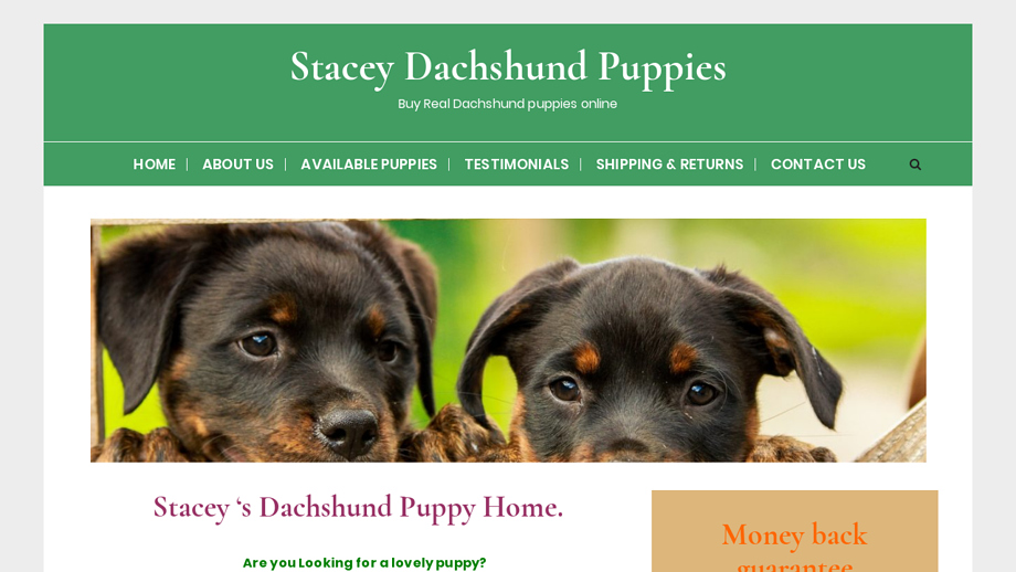 Staceydachshundpuppies.com - Dachshund Puppy Scam Review