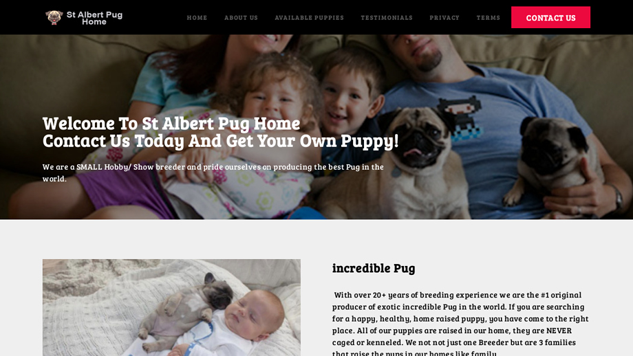 Stalbertpughome.com - Pug Puppy Scam Review