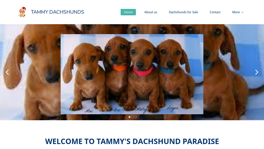 Tammydachshunds.com - Dachshund Puppy Scam Review