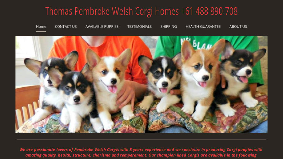 Thomascorgihomes.com - Corgi Puppy Scam Review