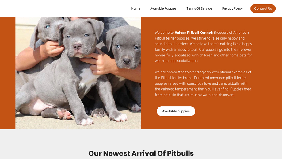 Vulcanpitbullkennel.com - Pit Bull Puppy Scam Review