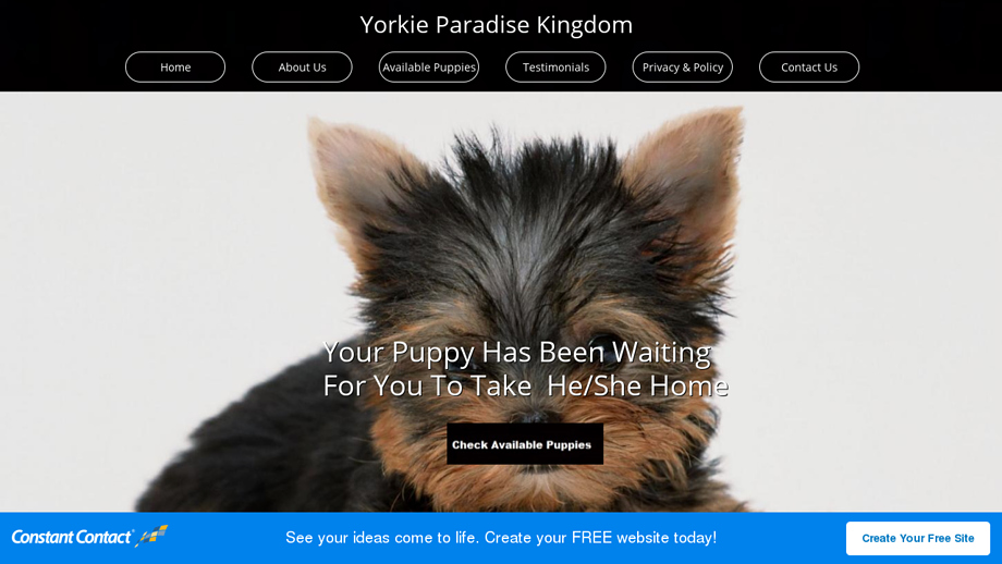 Yorkieparadisehome.com - Yorkshire Terrier Puppy Scam Review