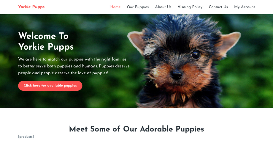 Yorkiepupps.com - Yorkshire Terrier Puppy Scam Review