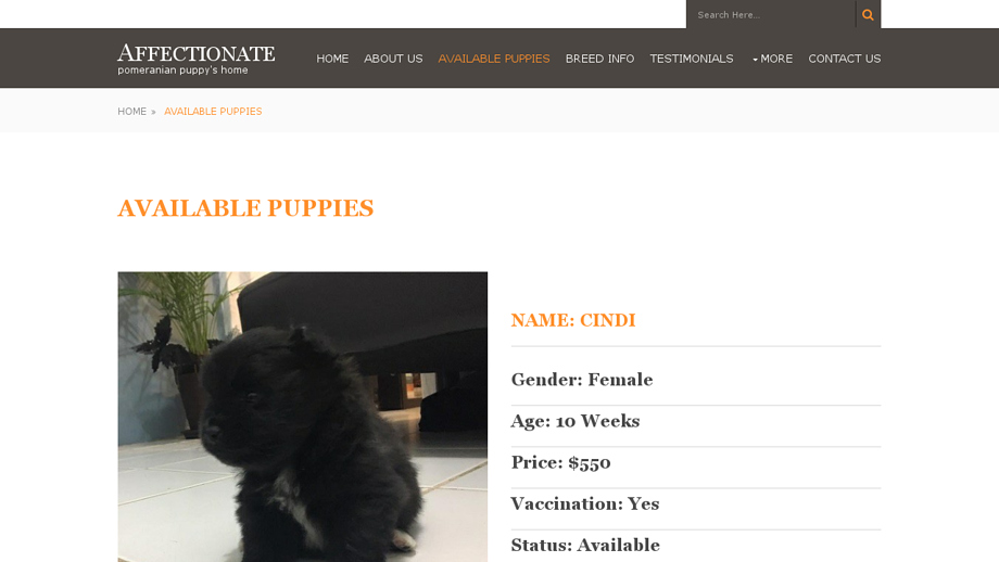 Affectionatepomeranianpuppies.com - Pomeranian Puppy Scam Review