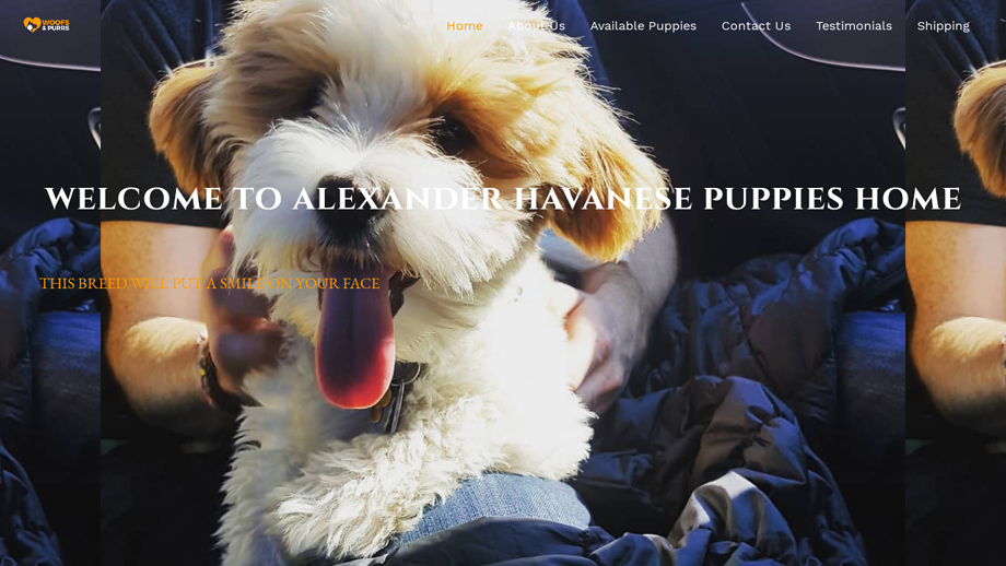 Alexanderhavanesehome.com - Havanese Puppy Scam Review