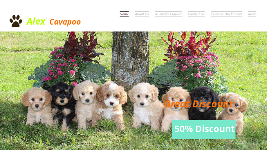 Alexpetshop.com - Cavapoo Puppy Scam Review