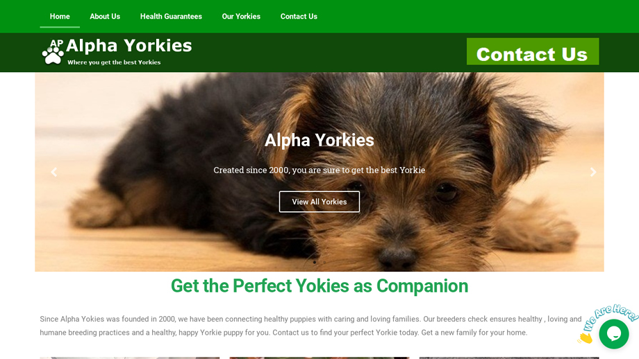 Alphayorkies.com - Yorkshire Terrier Puppy Scam Review