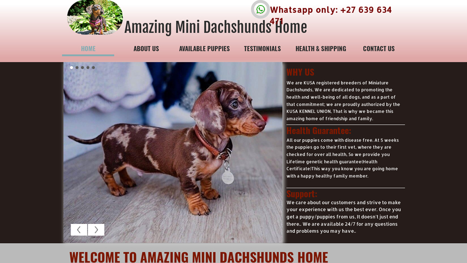 Amazingdachshundshome.com - Dachshund Puppy Scam Review