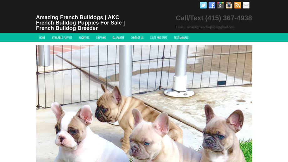 Amazingfrenchiepups.com - French Bulldog Puppy Scam Review