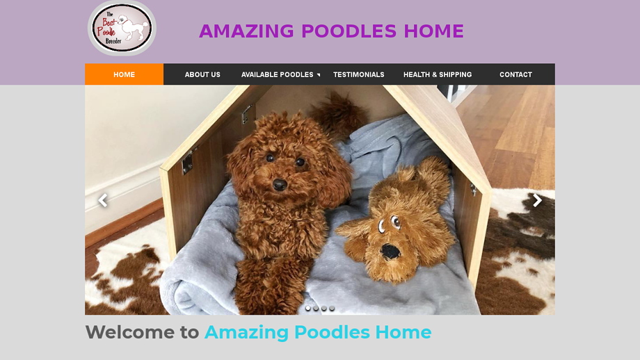 Amazingpoodleshome.com - Poodle Puppy Scam Review