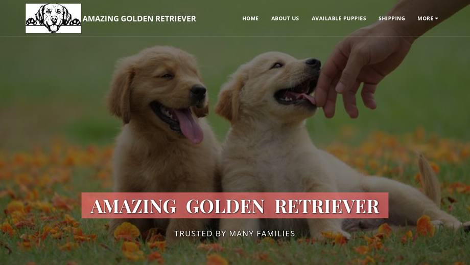 Amazingretrievers.com - Golden Retriever Puppy Scam Review