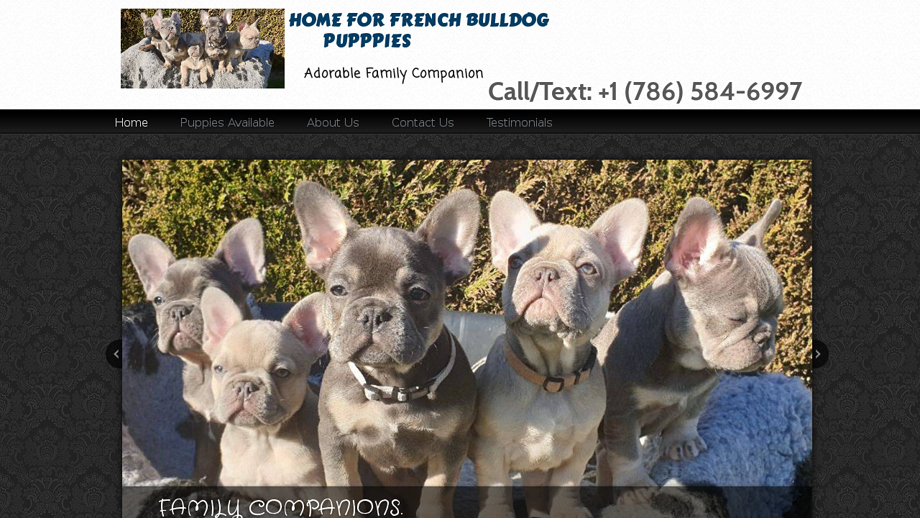 Augustinefrenchbulldogpuppies.com - French Bulldog Puppy Scam Review