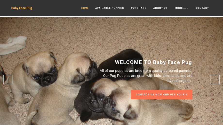 Babyfacepugsonline.com - Pug Puppy Scam Review