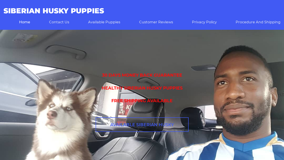 Babysiberianhuskypuppies.com - Husky Puppy Scam Review