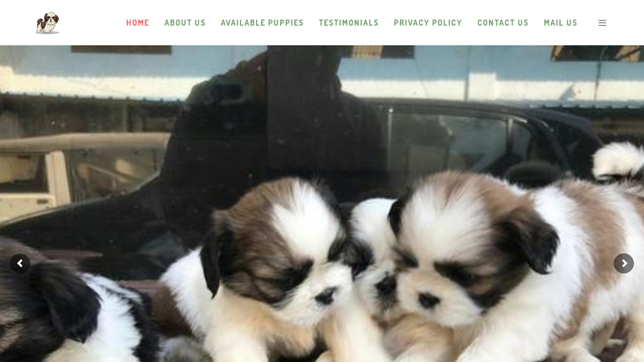 Benevolentshihtzu.com - Shihtzu Puppy Scam Review