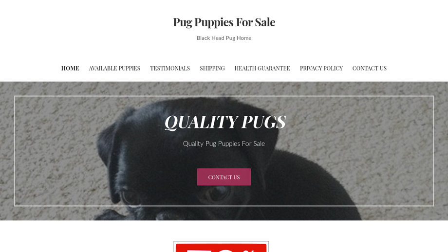 Blackheadpughome.com - Pug Puppy Scam Review