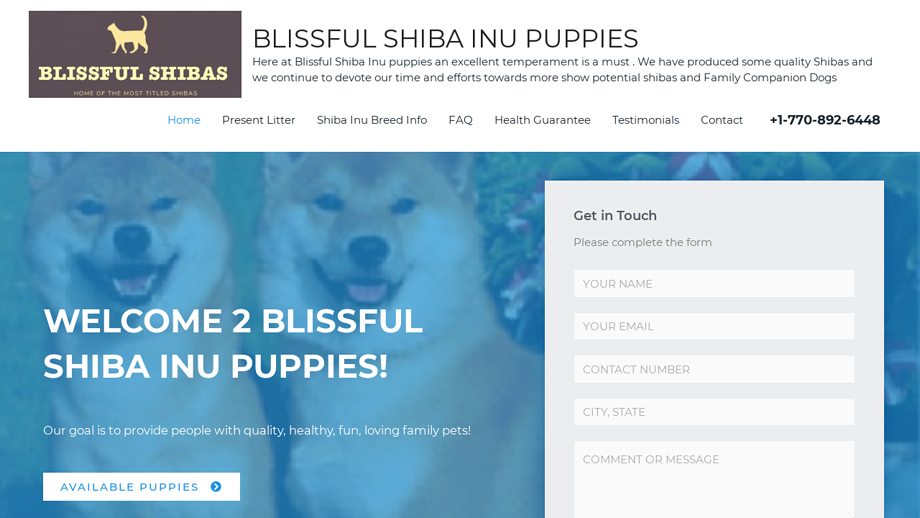 Blissfulshibainupuppies.com - Shibhainu Puppy Scam Review