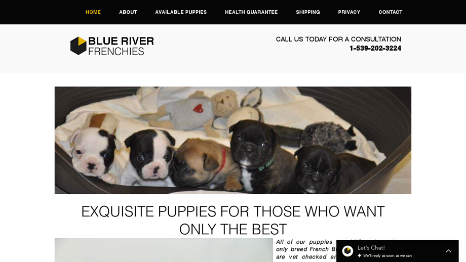 Blueriverfrenchies.com - French Bulldog Puppy Scam Review